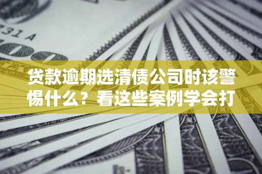 武汉贷款逾期选清债公司时该警惕什么？看这些案例学会打翻身仗