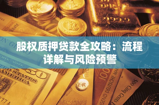 武汉股权质押贷款全攻略：流程详解与风险预警