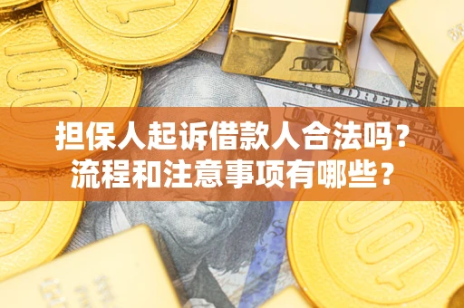 武汉担保人起诉借款人合法吗？流程和注意事项有哪些？