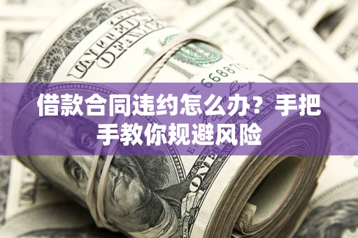武汉借款合同违约怎么办？手把手教你规避风险