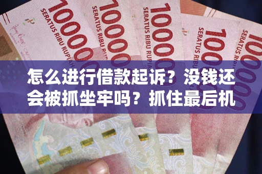 武汉怎么进行借款起诉？没钱还会被抓坐牢吗？抓住最后机会！