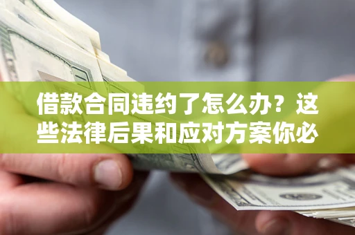 武汉借款合同违约了怎么办？这些法律后果和应对方案你必须知道