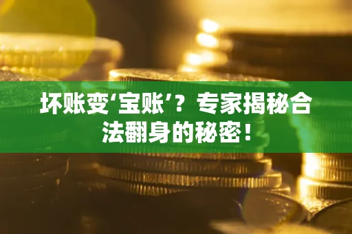 武汉坏账变‘宝账’？专家揭秘合法翻身的秘密！