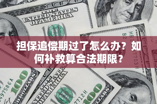 武汉担保追偿期过了怎么办？如何补救算合法期限？