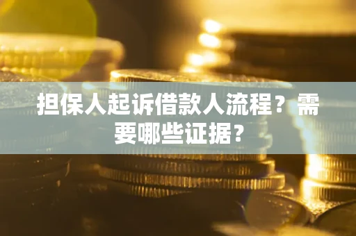 武汉担保人起诉借款人流程？需要哪些证据？