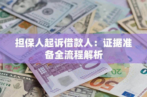 武汉担保人起诉借款人：证据准备全流程解析