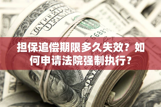 武汉担保追偿期限多久失效？如何申请法院强制执行？