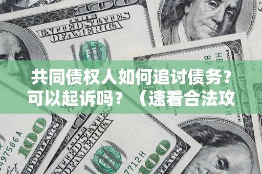 武汉共同债权人如何追讨债务？可以起诉吗？（速看合法攻略）