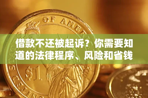 武汉借款不还被起诉？你需要知道的法律程序、风险和省钱技巧