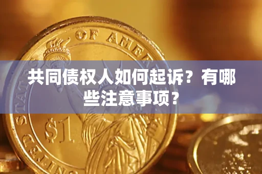 武汉共同债权人如何起诉？有哪些注意事项？
