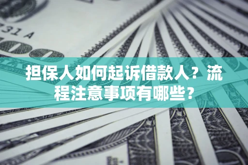 武汉担保人如何起诉借款人？流程注意事项有哪些？
